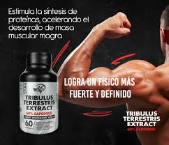 COMBO FUERZA & RENDIMIENTO MASCULINO (TRIBUTOS+VIRILMEN)